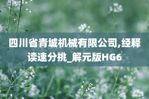 四川省青城机械有限公司,经释读速分挑_解元版HG6