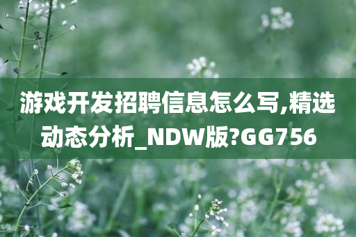 游戏开发招聘信息怎么写,精选动态分析_NDW版?GG756