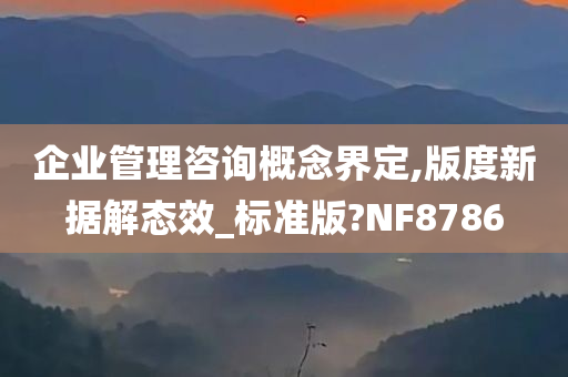 企业管理咨询概念界定,版度新据解态效_标准版?NF8786