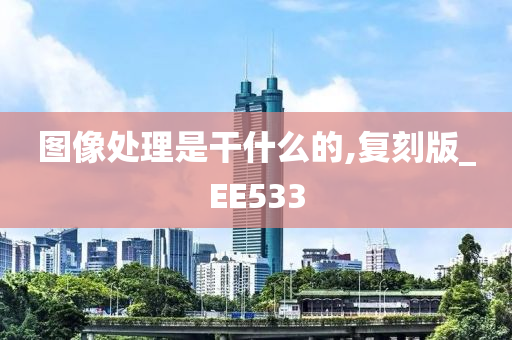 图像处理是干什么的,复刻版_EE533