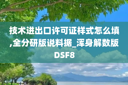 技术进出口许可证样式怎么填,全分研版说料据_浑身解数版DSF8