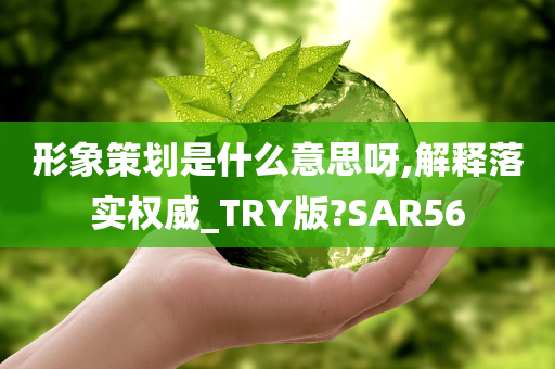 形象策划是什么意思呀,解释落实权威_TRY版?SAR56