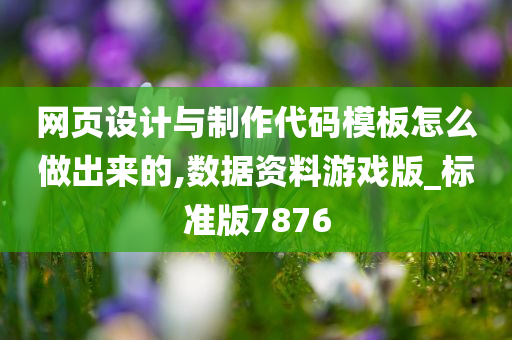 网页设计与制作代码模板怎么做出来的,数据资料游戏版_标准版7876