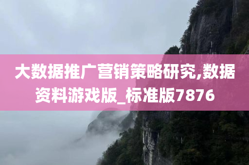 大数据推广营销策略研究,数据资料游戏版_标准版7876