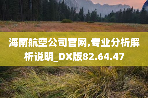 海南航空公司官网,专业分析解析说明_DX版82.64.47