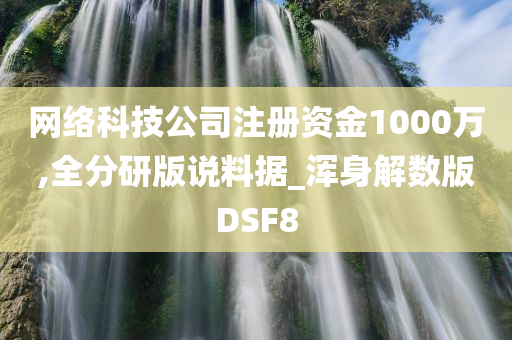 网络科技公司注册资金1000万,全分研版说料据_浑身解数版DSF8