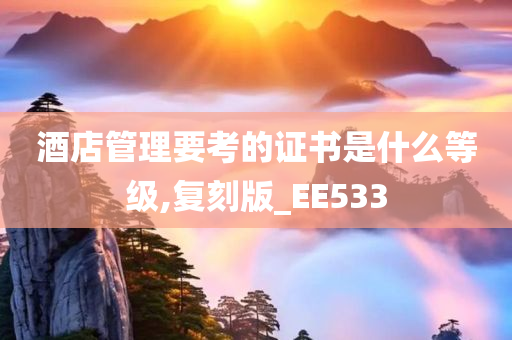 酒店管理要考的证书是什么等级,复刻版_EE533