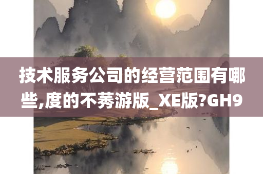 技术服务公司的经营范围有哪些,度的不莠游版_XE版?GH9