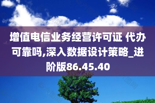 增值电信业务经营许可证 代办可靠吗,深入数据设计策略_进阶版86.45.40