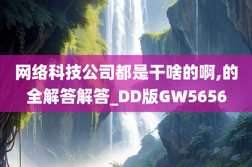 网络科技公司都是干啥的啊,的全解答解答_DD版GW5656