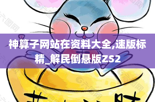 神算子网站在资料大全,速版标精_解民倒悬版ZS2