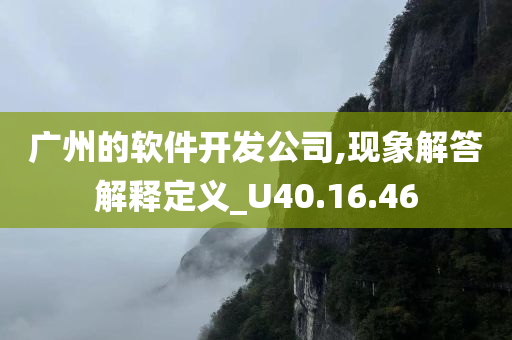 广州的软件开发公司,现象解答解释定义_U40.16.46