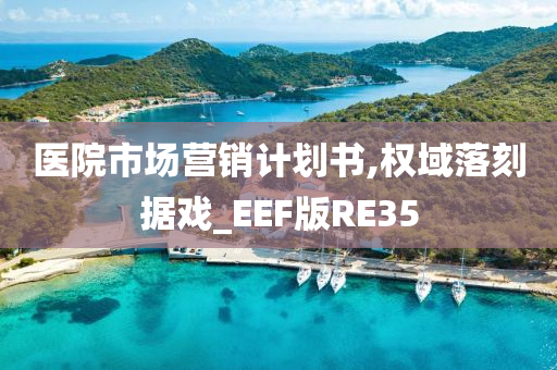 医院市场营销计划书,权域落刻据戏_EEF版RE35