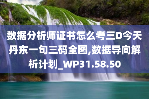 数据分析师证书怎么考三D今天丹东一句三码全图,数据导向解析计划_WP31.58.50