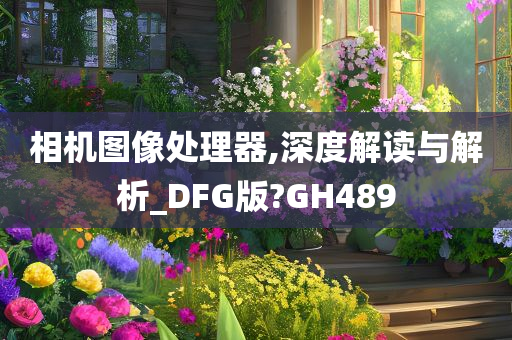 相机图像处理器,深度解读与解析_DFG版?GH489