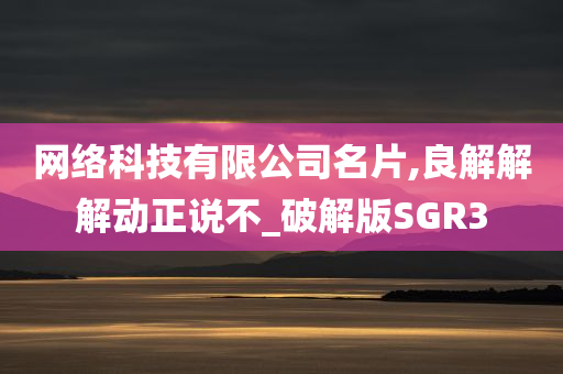 网络科技有限公司名片,良解解解动正说不_破解版SGR3