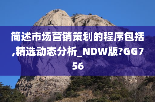 简述市场营销策划的程序包括,精选动态分析_NDW版?GG756