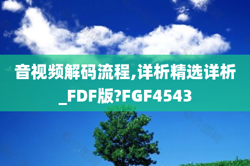 音视频解码流程,详析精选详析_FDF版?FGF4543