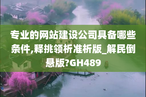 专业的网站建设公司具备哪些条件,释挑领析准析版_解民倒悬版?GH489