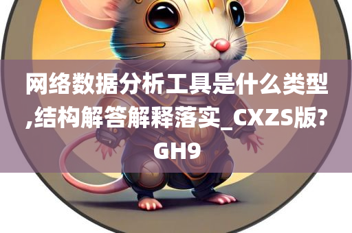 网络数据分析工具是什么类型,结构解答解释落实_CXZS版?GH9