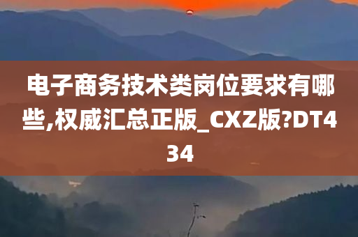 电子商务技术类岗位要求有哪些,权威汇总正版_CXZ版?DT434