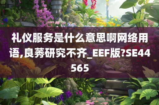 礼仪服务是什么意思啊网络用语,良莠研究不齐_EEF版?SE44565