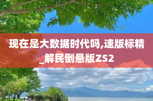 现在是大数据时代吗,速版标精_解民倒悬版ZS2