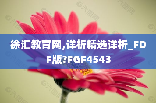 徐汇教育网,详析精选详析_FDF版?FGF4543