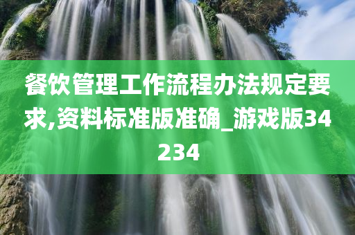 餐饮管理工作流程办法规定要求,资料标准版准确_游戏版34234