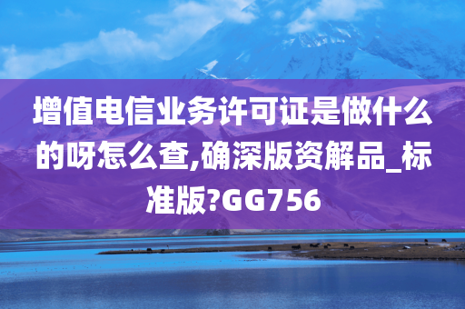 增值电信业务许可证是做什么的呀怎么查,确深版资解品_标准版?GG756