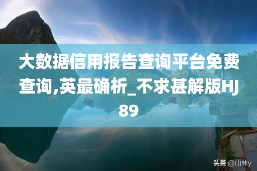 大数据信用报告查询平台免费查询,英最确析_不求甚解版HJ89