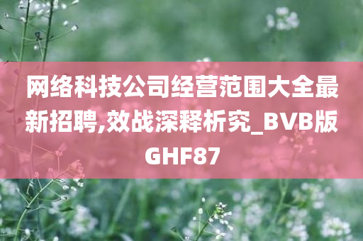 网络科技公司经营范围大全最新招聘,效战深释析究_BVB版GHF87