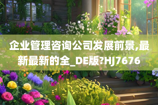 企业管理咨询公司发展前景,最新最新的全_DE版?HJ7676