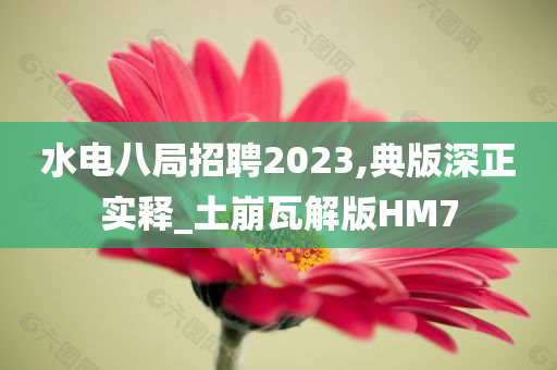 水电八局招聘2023,典版深正实释_土崩瓦解版HM7