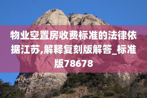 物业空置房收费标准的法律依据江苏,解释复刻版解答_标准版78678