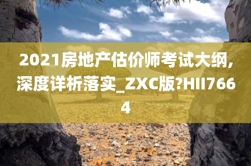 2021房地产估价师考试大纲,深度详析落实_ZXC版?HII7664