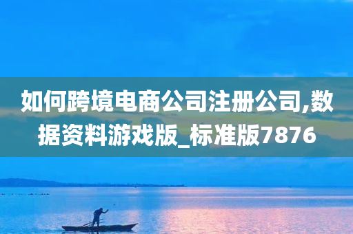 如何跨境电商公司注册公司,数据资料游戏版_标准版7876