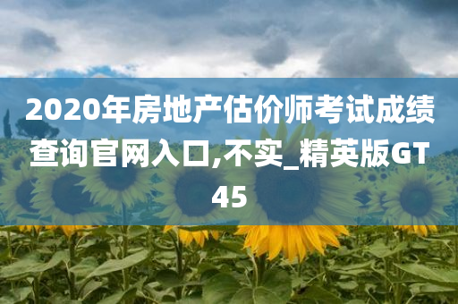 2020年房地产估价师考试成绩查询官网入口,不实_精英版GT45