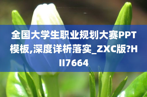 全国大学生职业规划大赛PPT模板,深度详析落实_ZXC版?HII7664