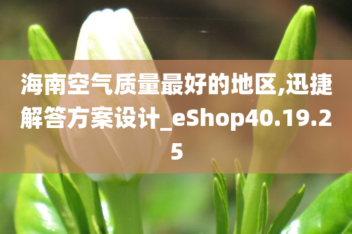 海南空气质量最好的地区,迅捷解答方案设计_eShop40.19.25