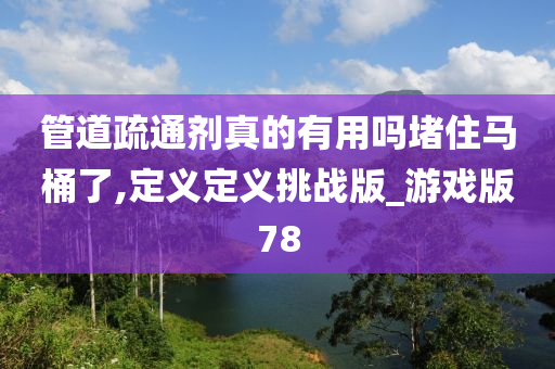 管道疏通剂真的有用吗堵住马桶了,定义定义挑战版_游戏版78