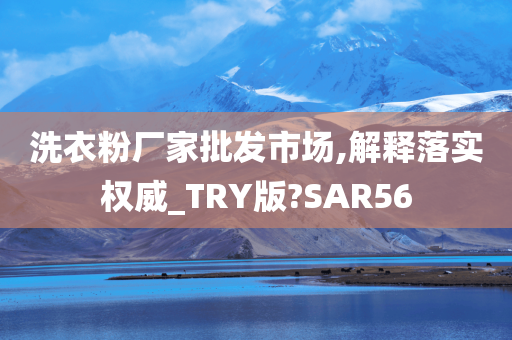 洗衣粉厂家批发市场,解释落实权威_TRY版?SAR56