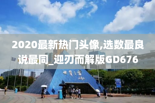 2020最新热门头像,选数最良说最同_迎刃而解版GD676