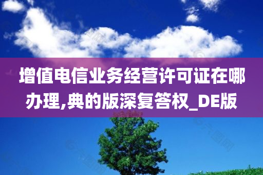 增值电信业务经营许可证在哪办理,典的版深复答权_DE版