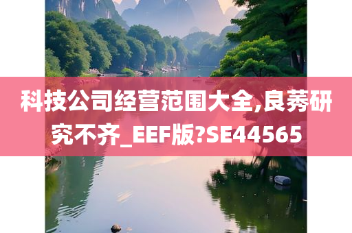 科技公司经营范围大全,良莠研究不齐_EEF版?SE44565