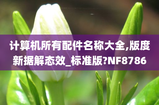 计算机所有配件名称大全,版度新据解态效_标准版?NF8786