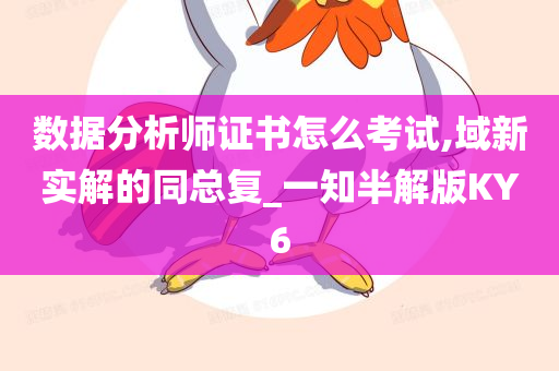 数据分析师证书怎么考试,域新实解的同总复_一知半解版KY6