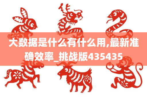 大数据是什么有什么用,最新准确效率_挑战版435435