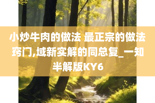 小炒牛肉的做法 最正宗的做法窍门,域新实解的同总复_一知半解版KY6