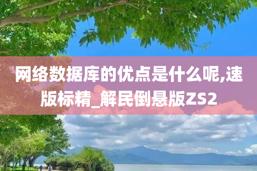 网络数据库的优点是什么呢,速版标精_解民倒悬版ZS2